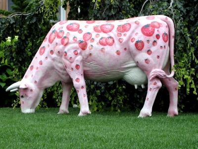 담홍색, 핑크 and my 가장 좋아하는 animal is a cow
