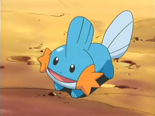  My first game was Pokemon Mystery Dungeon:Blue Rescue Team and my preferito Pokemon is Mudkip.Strangely enough I don't actually like Marshtop and Swampert.I don't like to evolve my Pokemon either.