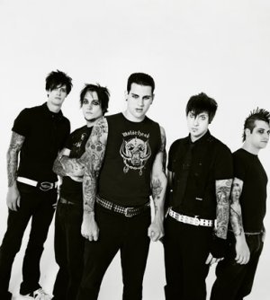  i like both of the band..but av7x is better than my chem romance in the way they express the music,,
