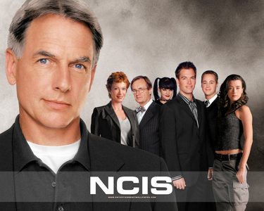  My Favorit shows are NCIS, Bones, Glee, and How I met your Mother.