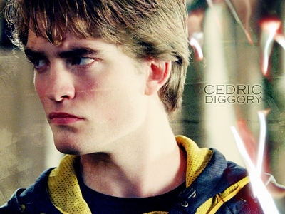 Cedric or young Sirius