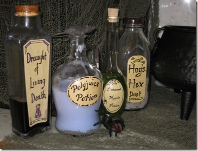 i would want to be the potions teacher you could learn all cool potions and teach kids how to use them.