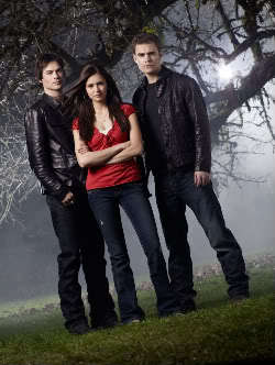  What order does the Vampire Diaries sách go in?
