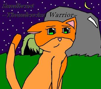  Name:Sandheart Description:Sandheart is Firestar and Sandstorm's daughter. She is very good warrior and is very cleaver! She is quick but can be clumsy. She has a very big crush on Whitestorm,even though he is way older than she is. Personality: Sandheart is a very sweet cat but can be stubbern. She is also pretty clumsy. Clan:Thunderclan of course!