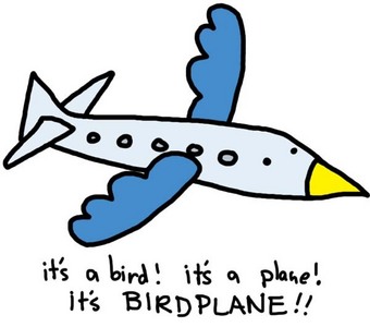  It's a Birdplane.