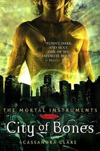  The Mortal Instruments series da Cassandra Clare is AMAZING!! City of Bones, City of Ashes, City of Glass, and coming in March 2011- City of Fallen Angels.