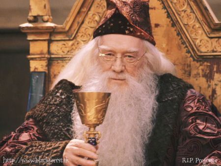  who hates Dumbledore?