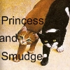  did princess mate with smuge या a diffrent cat