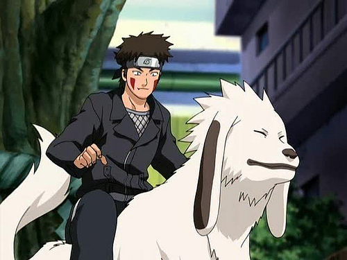  He is Handsome,Cute,Strong and Kind Kiba is so protective to Hinata.......He is also a good friend for Akamaru,Naruto,Sakura,Ino and specially Hinata He is very kind