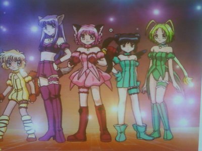 Tokyo mew mew is a book and a show about five girls with powers and they save the world