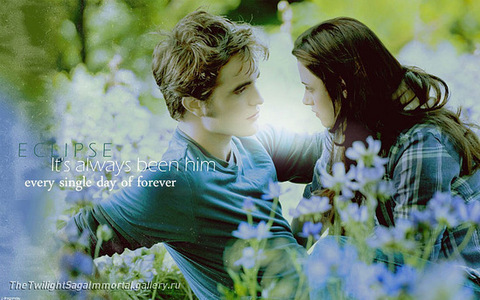  Of course, i'm still team Edvard. I like Jake, in Eclipse he was very touching... but! Edvard was amazing - so loving, tender and so beaufiful! His eyes are so deep, his smile is so warm... I felt his l’amour with all my heart. Honestly I was angry when Bella looked at him like she has no feelings at all - what a stupid girl... She does not deserve him, really. Every woman is dreaming of Edvard - and to be loved like this forever...