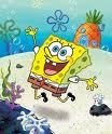  Spongebob!