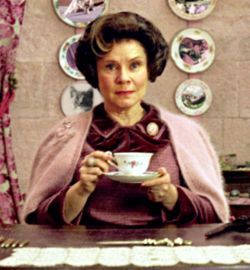 I would have to say Umbridge, she was a hellian on two legs and she hurt Harry which was totally uncalled for. She was definatley a mbwa mwitu in sheeps clothing to the ministry, which makes her a liar and that's why I don't like her. Also that clearing of the throat thing annoyed me too...lol