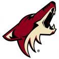  Mine was 'Hockey'. My family loves hockey. We Cinta the Phoenix Coyotes. (We live in Phoenix, DUH!) and my parents took me to a lot of Coyotes games. It fits.......... This is the Coyotes logo now. It was different a long time ago. When I was little.
