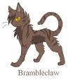  No BrambleClaw is not evil and is still deputy and firestar is still leader.