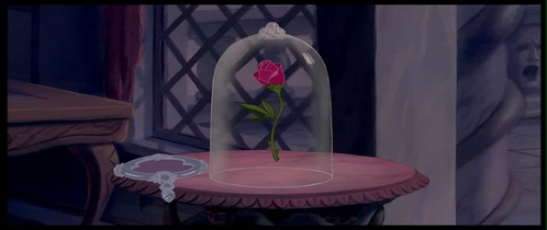  If Belle had touched the rose, she could've accidentally knocked some of the petals off, leaving the Beast with even less time of breaking the curse.