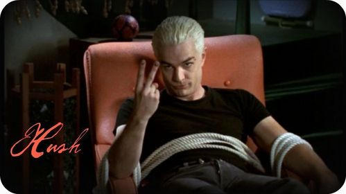  Mine is in the episode Hush in season four where Xander is sleeping and Spike is tied up. Spike: "Xander...Don't آپ care about me?" Xander: "Shut up" Spike:"We never talk." Xander: "Shut...up!" Spike "Xaaannnnddderrrr.." Xander: SHUT UPP!!! Absolute awesome!!