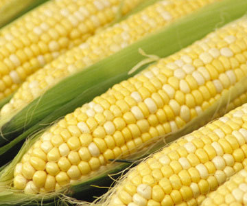 Corn =D