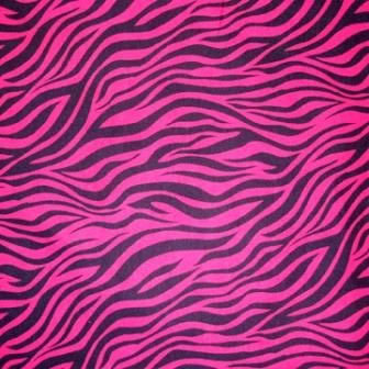  PINK!!! everything i own is either zebra or rosa, -de-rosa or both
