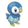 FOR THE FIRST ROUND I'D USE PROBABLY PIPLUP THAN FOR THE SECOND ROUND I'D USE INFERNAPE. 