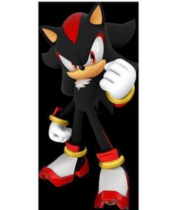  i still have a crush on shadow...he's HOT!