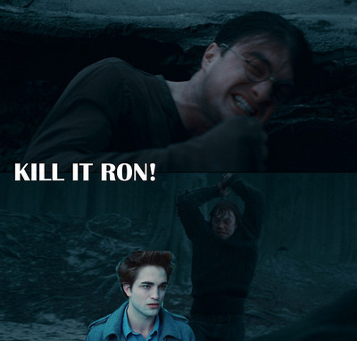  I like to Дебаты about this because it's fun to see Twitards try to defend their book while the HP Фаны absolutely pwn them. I also like a good debate, but this doesn't count as one because the Twifans don't have legit reasons. YESH! KILL IT, RON!!!!!!