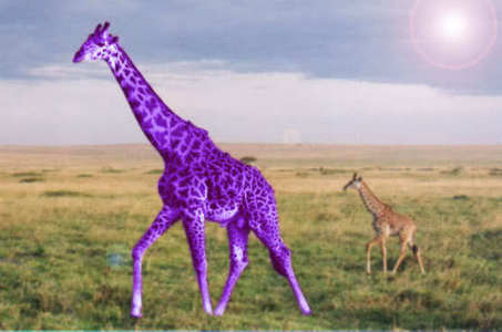  I would be a mutated purple giraffe! ^u^