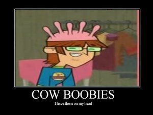 Why do 你 think harold is obsessed with boobies? ie. i have cow boobies on my head...