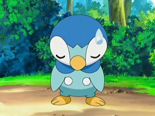 Piplup is my favorite :3 though I like Machamp too