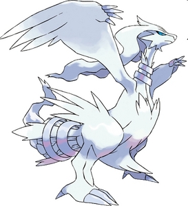 Reshiram, because it looks like a huge bird/dragon/dinosaur gone Pokemon. It's so cool!!! So I hope to get Black or the 3rd game. 