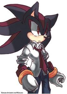  shadow the hedgehog will kill the rapsit and then take me to the police station so i can tell the cops