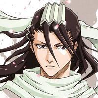  What are thoes things in Byakuya's hair called?