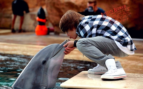 justin and dolphin
