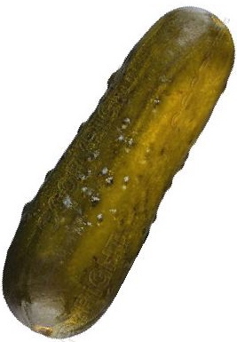  (btw,thanks cause i actually have a picture of a pickle!) ohmygawd!i actually saw a ピクルス come によって here!is this yours?