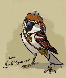  A Sparrow