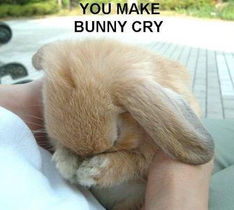  Awwww toi make bunny cry!! :)
