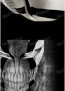  What do wewe guys think about ichigos new mask? do u think its necessary?