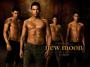  The wolf clan was kinda awesome, except for the crappy animatie and the fact that they're allergic to shirts.