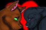  Stormstar and Nightstar (Nightstars actually black but i pag-ibig this pic!)