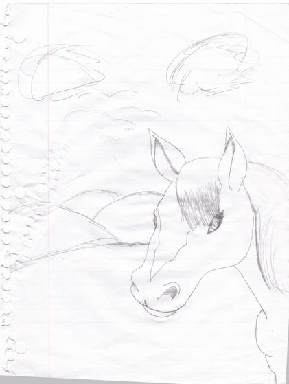  I drew a horsey.....Neigh.