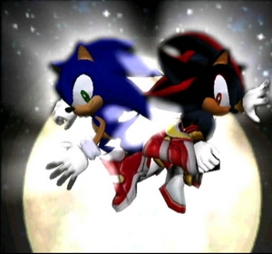 Sonic and Shadow at the beginning of the game