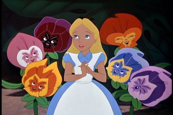  3.Alice(Alice In Wonderland) she's got an imagineation that took her to a magic real but wierd world the lovelyest thing in wonderland she kinda looks like cenicienta