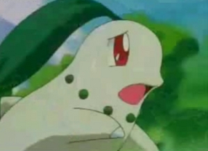  "why am i a Chikorita? I'm supposed to be a HUMAN! how did this happen?"