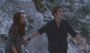  Edward protecting Bella from Victoria