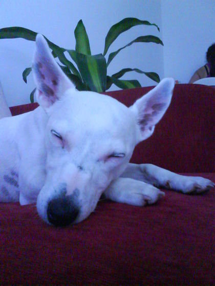  someone is tired..=)