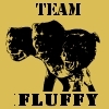 Not

Team Fluffy