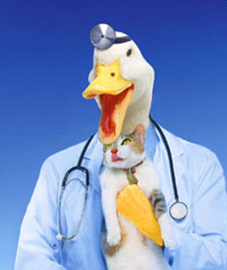  Here's Dr. Quack!