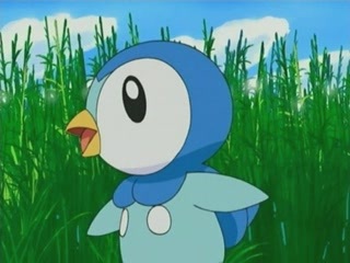  Piplup and I would leave Piplup as a Piplup..no evolving for me.