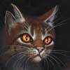 omg... But ur not the only one that has weird dreams, I had a dream that Darkstripe (From warrior cat