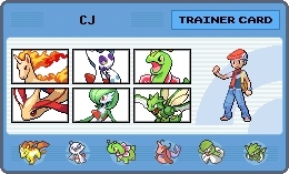 The pokemon on my #1 team are Rapidash, Frosslass, Meganium, Milotic, Gardevoir, and Scyther (all at 